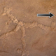 Illustration for article titled One of humanity's earliest drawings included an enormous phallus